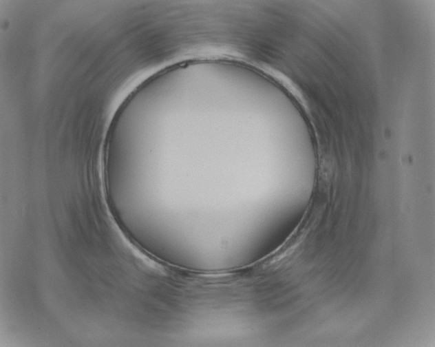 X0000076061343200610152153