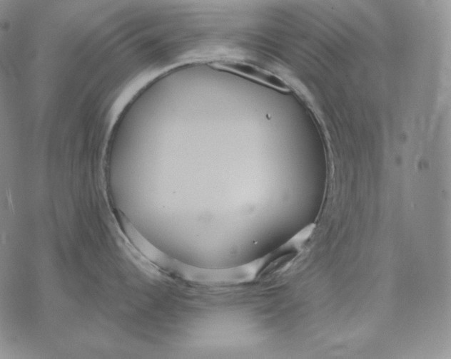 X0000076061344200610152153