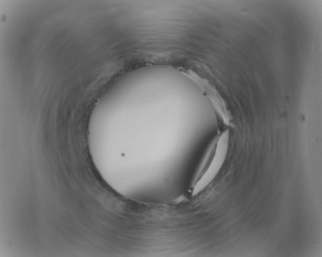 X0000076061345200610152152