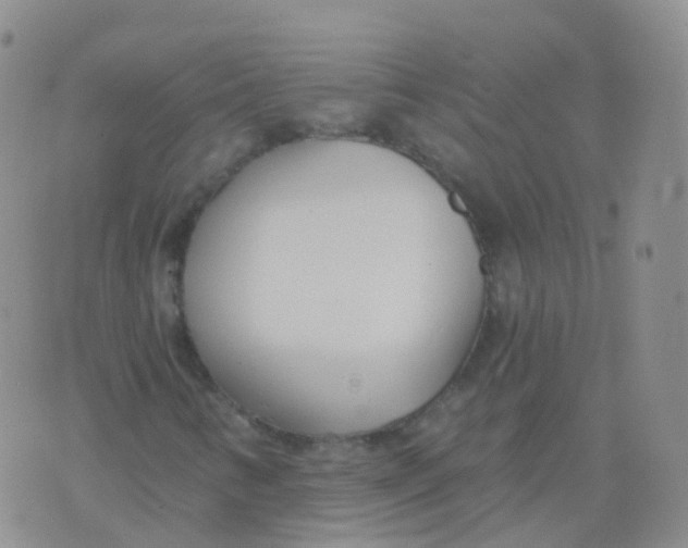 X0000076061346200610152152