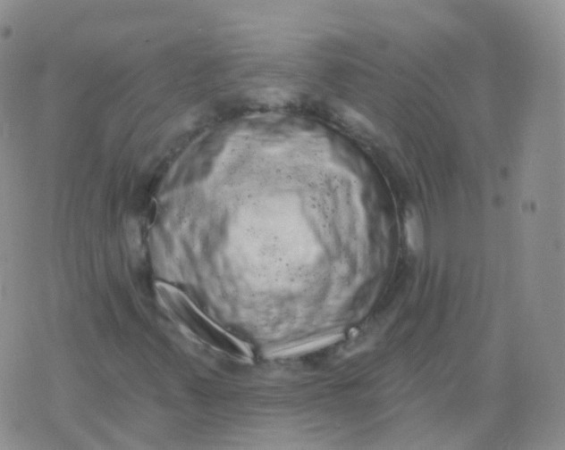 X0000076061347200610152152