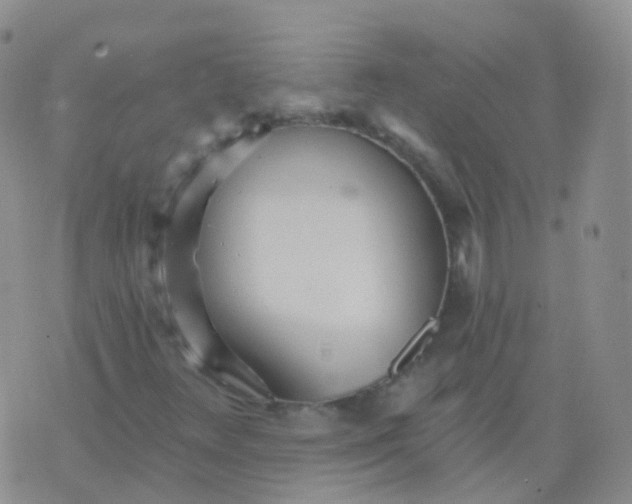 X0000076061348200610152152