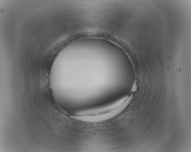 X0000076061349200610152152