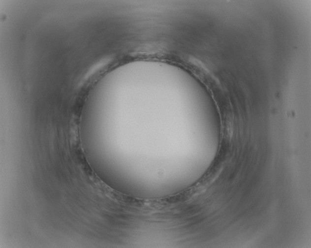 X0000076061350200610152152