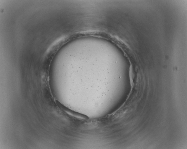 X0000076061351200610152152