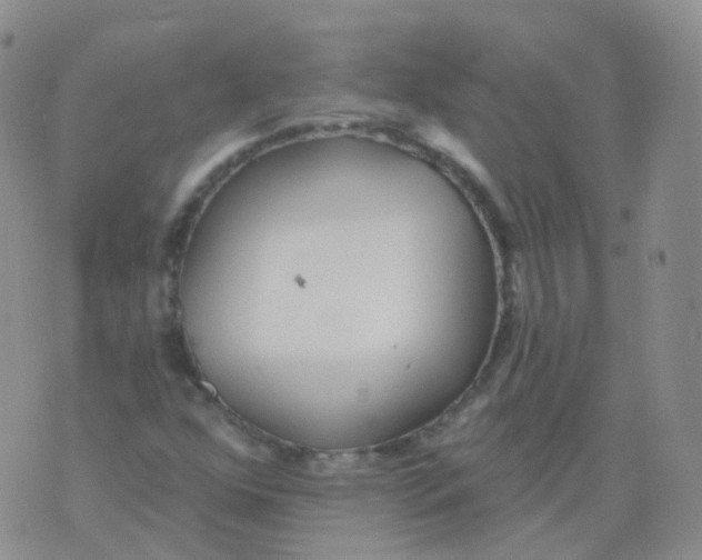 X0000076061352200610152152