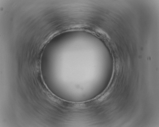 X0000076061353200610152152