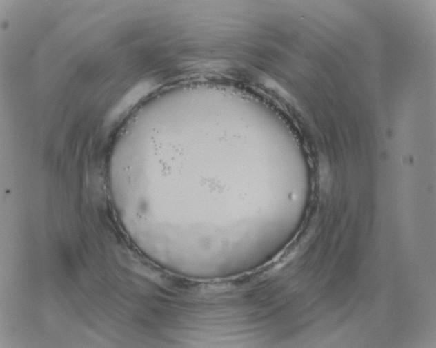 X0000076061354200610152152