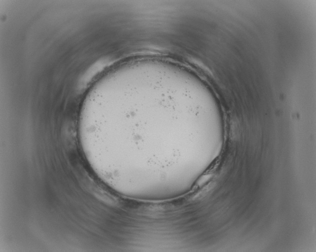 X0000076061355200610152152