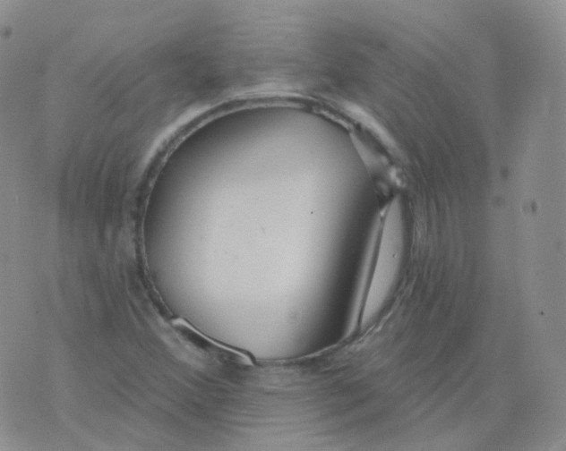 X0000076061356200610152152