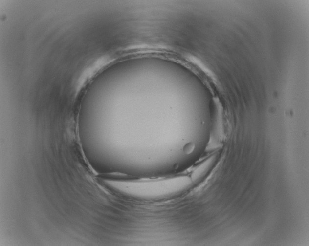 X0000076061357200610152152