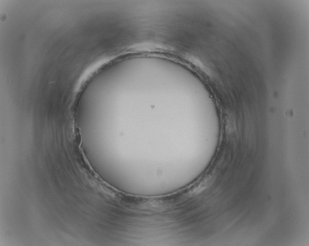 X0000076061358200610152152