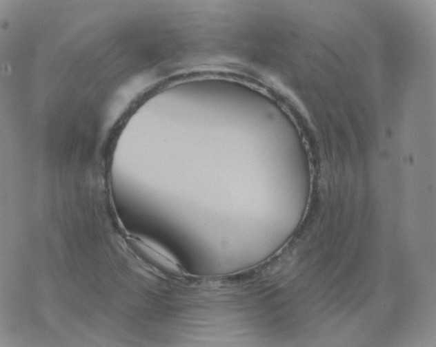 X0000076061360200610152152