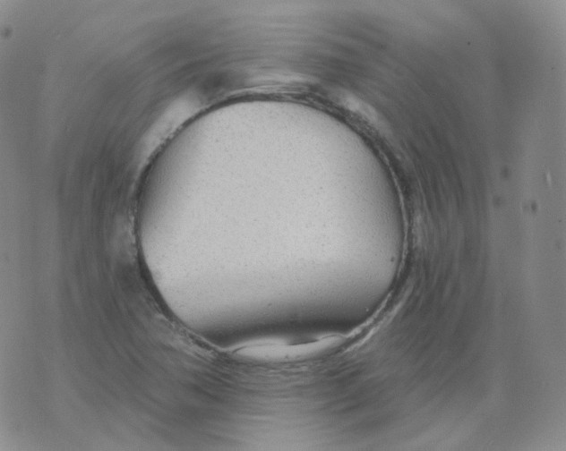 X0000076061362200610152152