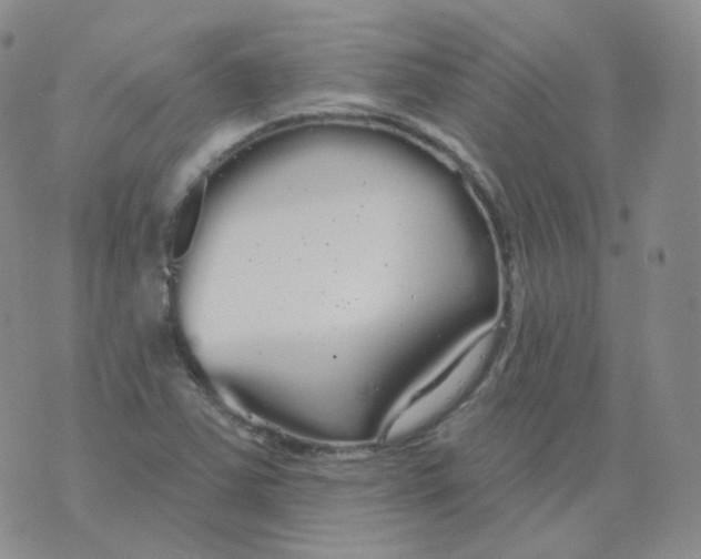 X0000076061363200610152152