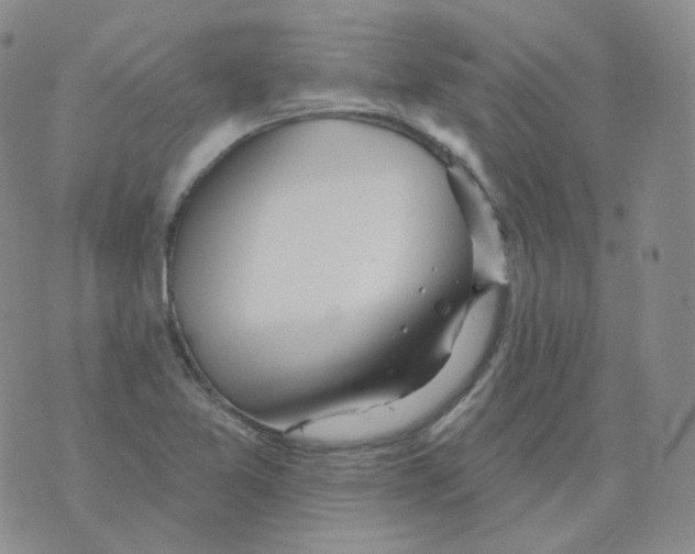 X0000076061365200610152152