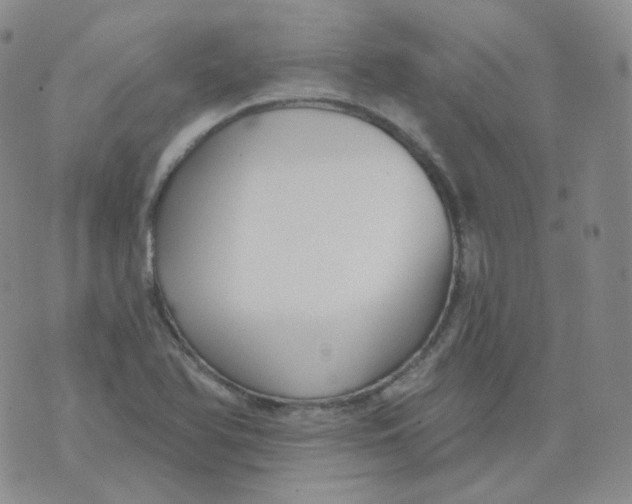 X0000076061366200610152152