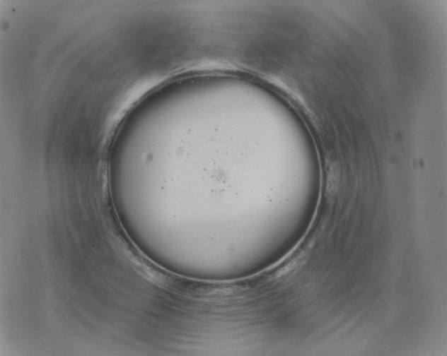 X0000076061367200610152152