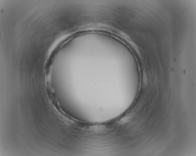 X0000076061368200610152152