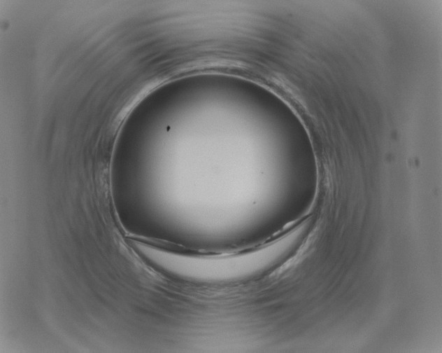 X0000076061369200610152152