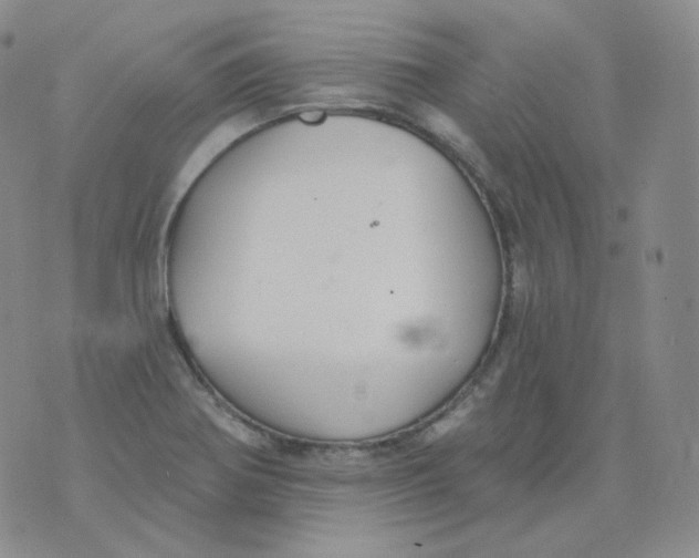 X0000076061370200610152152