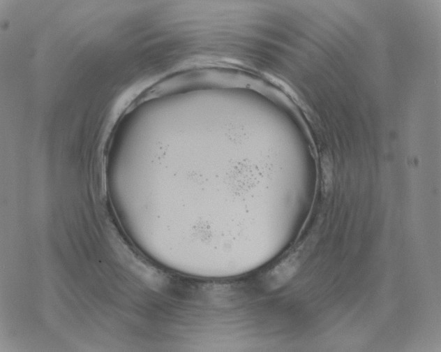 X0000076061371200610152152