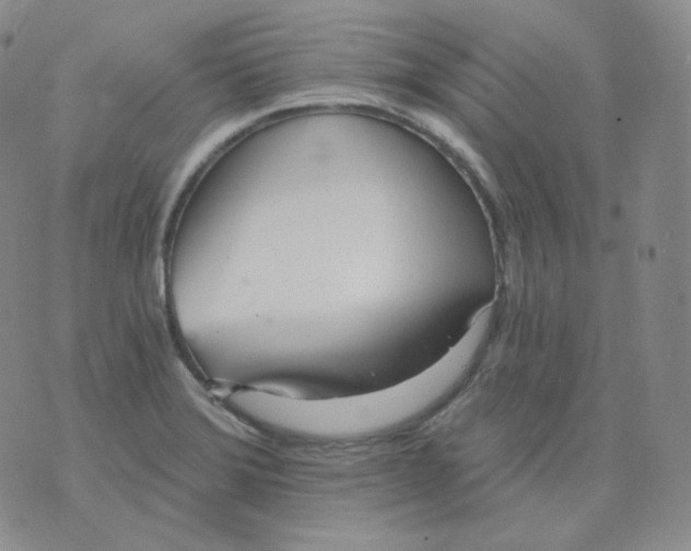 X0000076061372200610152152