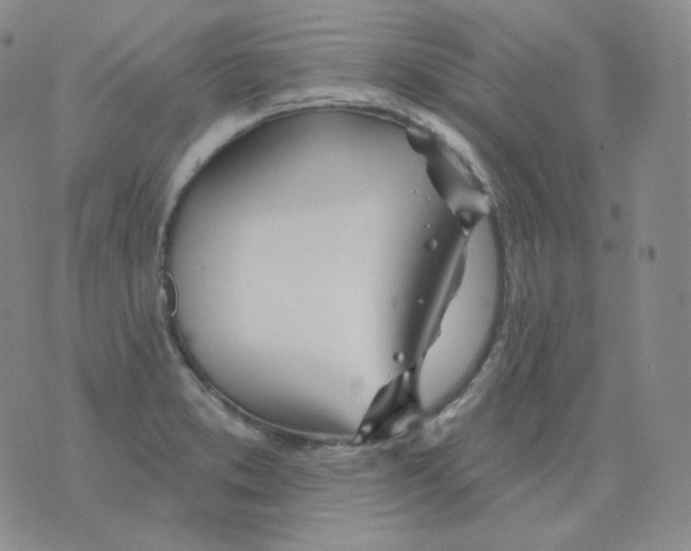 X0000076061373200610152152