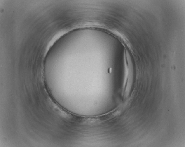 X0000076061374200610152152