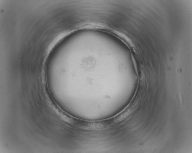 X0000076061375200610152152