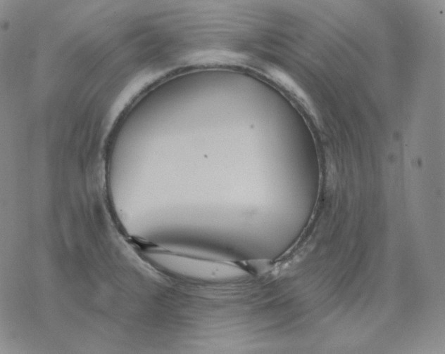 X0000076061376200610152152