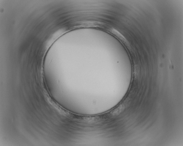 X0000076061378200610152152