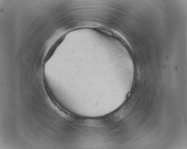 X0000076061379200610152151