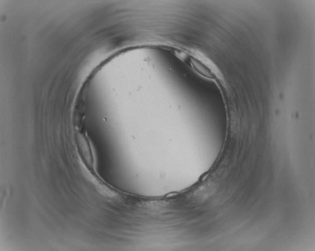 X0000076061380200610152151