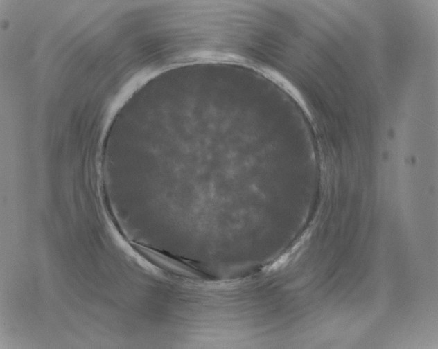 X0000076061381200610152151