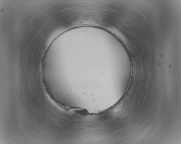 X0000076061382200610152151