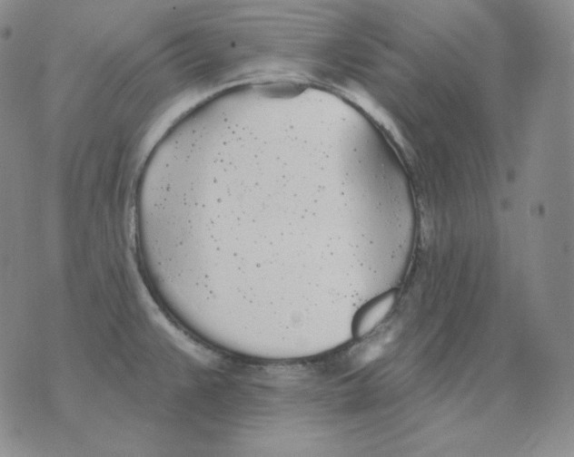 X0000076061383200610152151