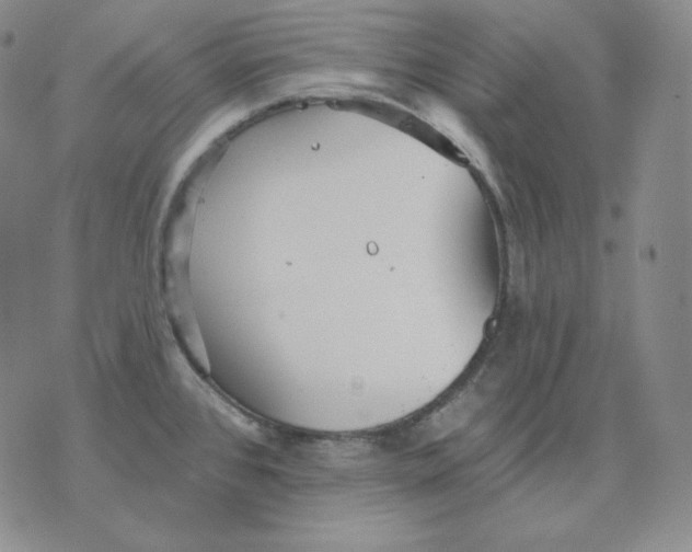 X0000076061384200610152151