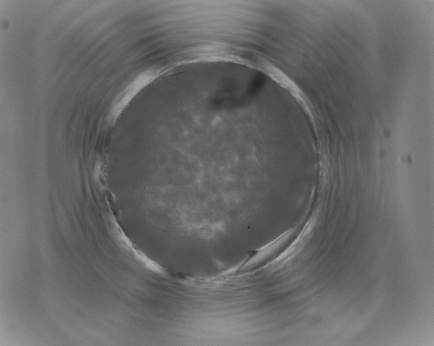 X0000076061385200610152151