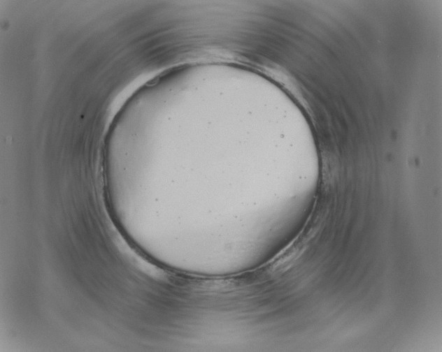 X0000076061387200610152151