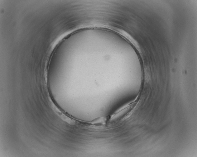 X0000076061388200610152151