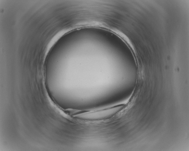 X0000076061389200610152151