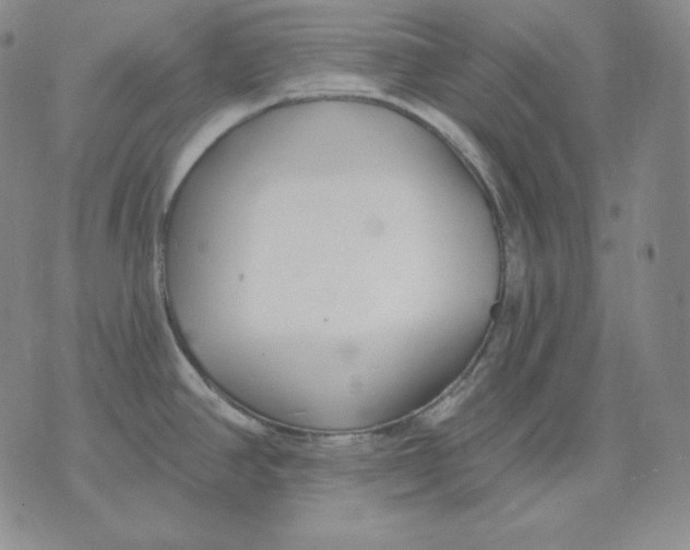 X0000076061390200610152151