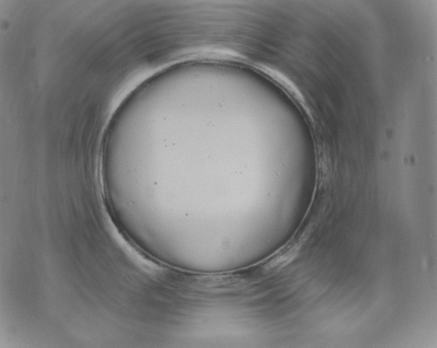 X0000076061391200610152151