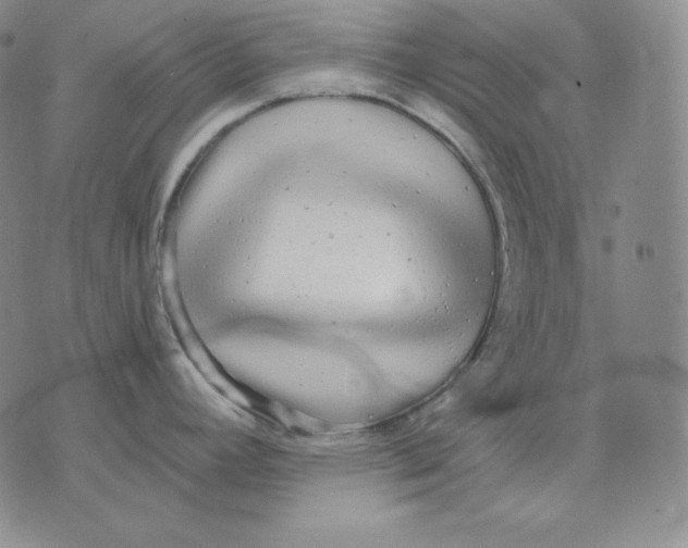 X0000076061392200610152151