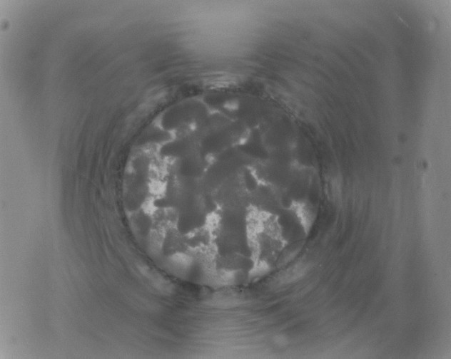 X0000076061393200610152151