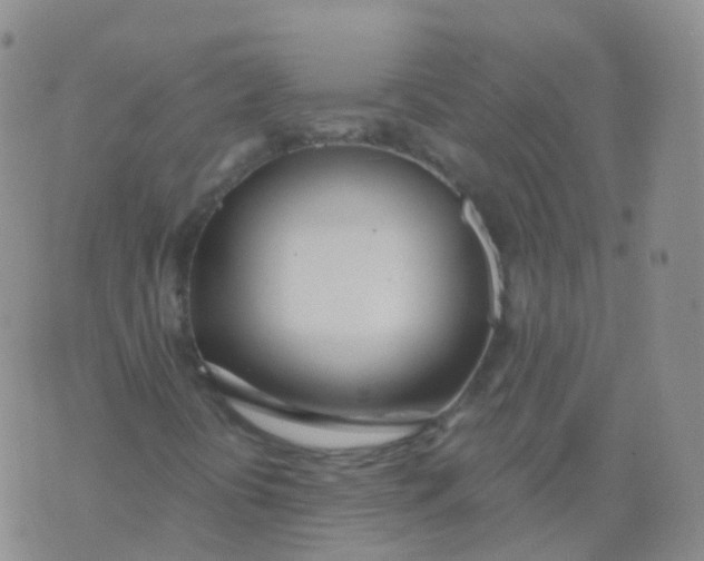 X0000076061394200610152151