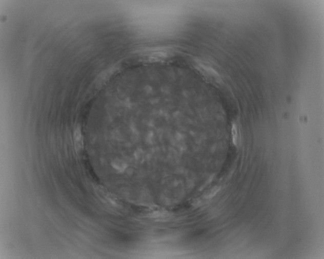 X0000076061395200610152151