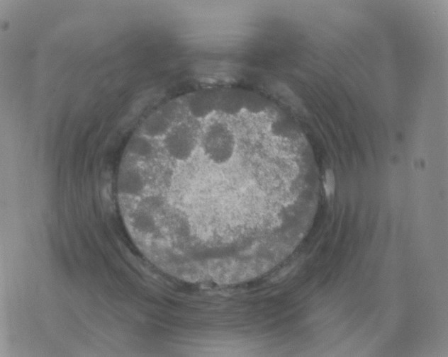 X0000076061396200610152151