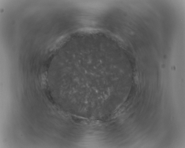 X0000076061397200610152151